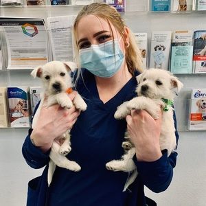 Meet your Posher, Courtney